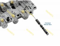 OVERSIZED MANUAL VALVE