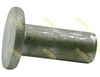 RIVET