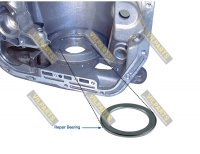 CASE REPAIR BEARING